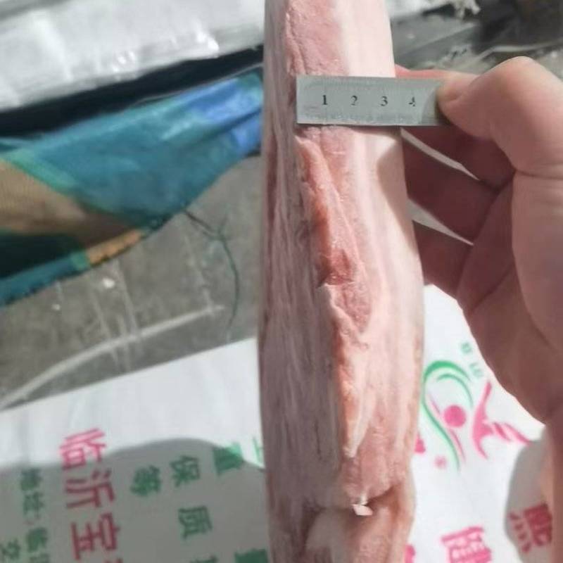 肥猪带皮大五花