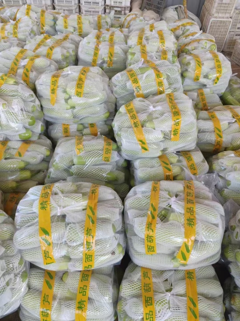 山东聊城西葫芦大量精品供应商超批发市场