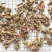 款冬花批发供应中药材冬花现货供应量大从优