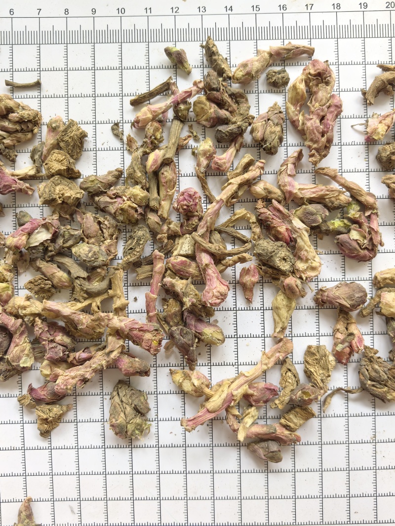 款冬花批发供应中药材冬花现货供应量大从优