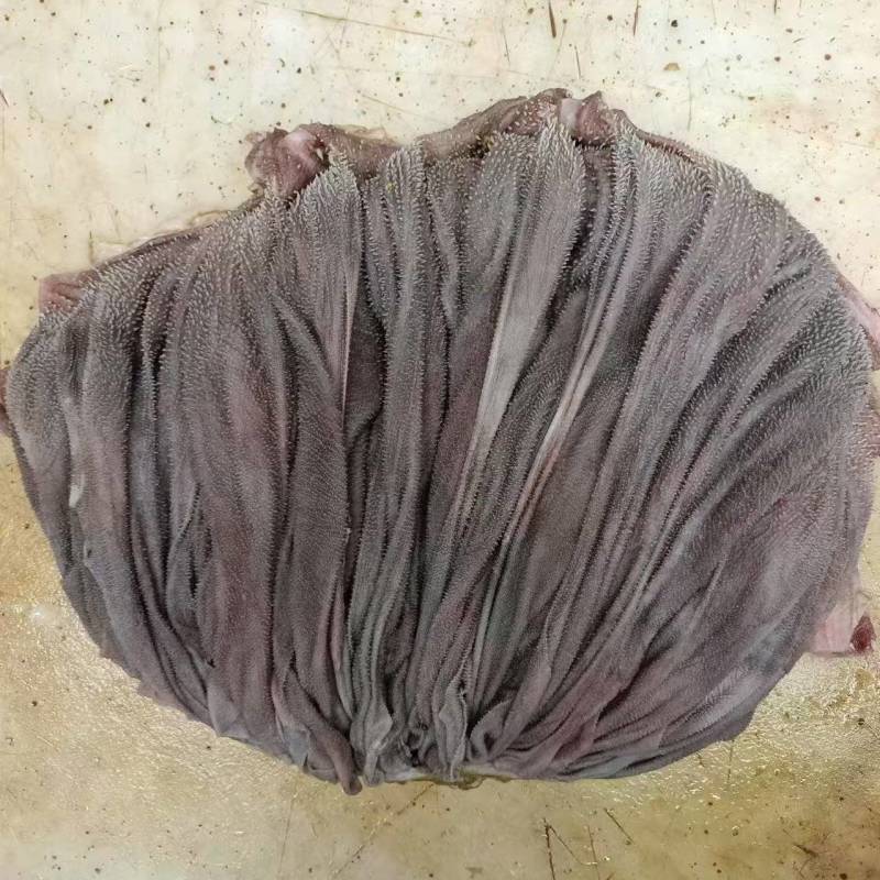 鲜白叶牦牛