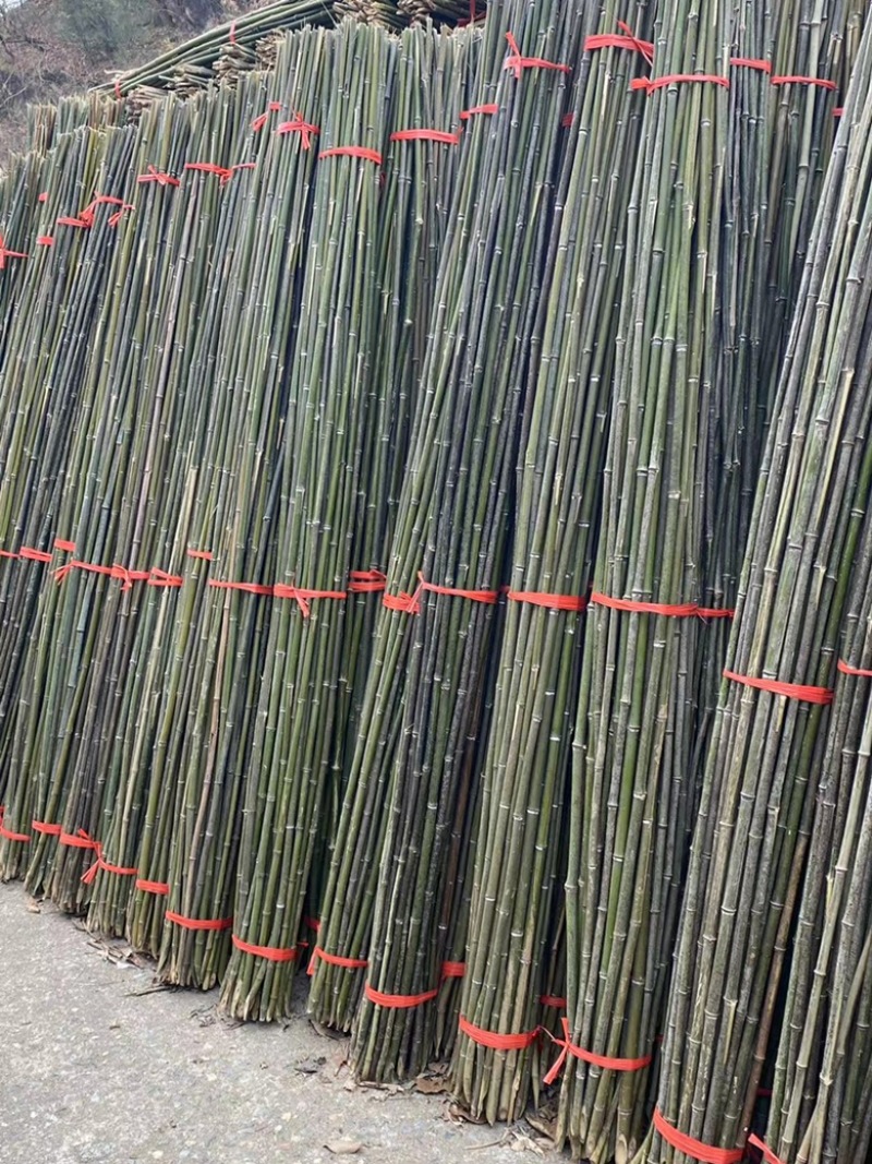 竹竿菜架竹豆角架黄瓜架西红柿架辣椒架