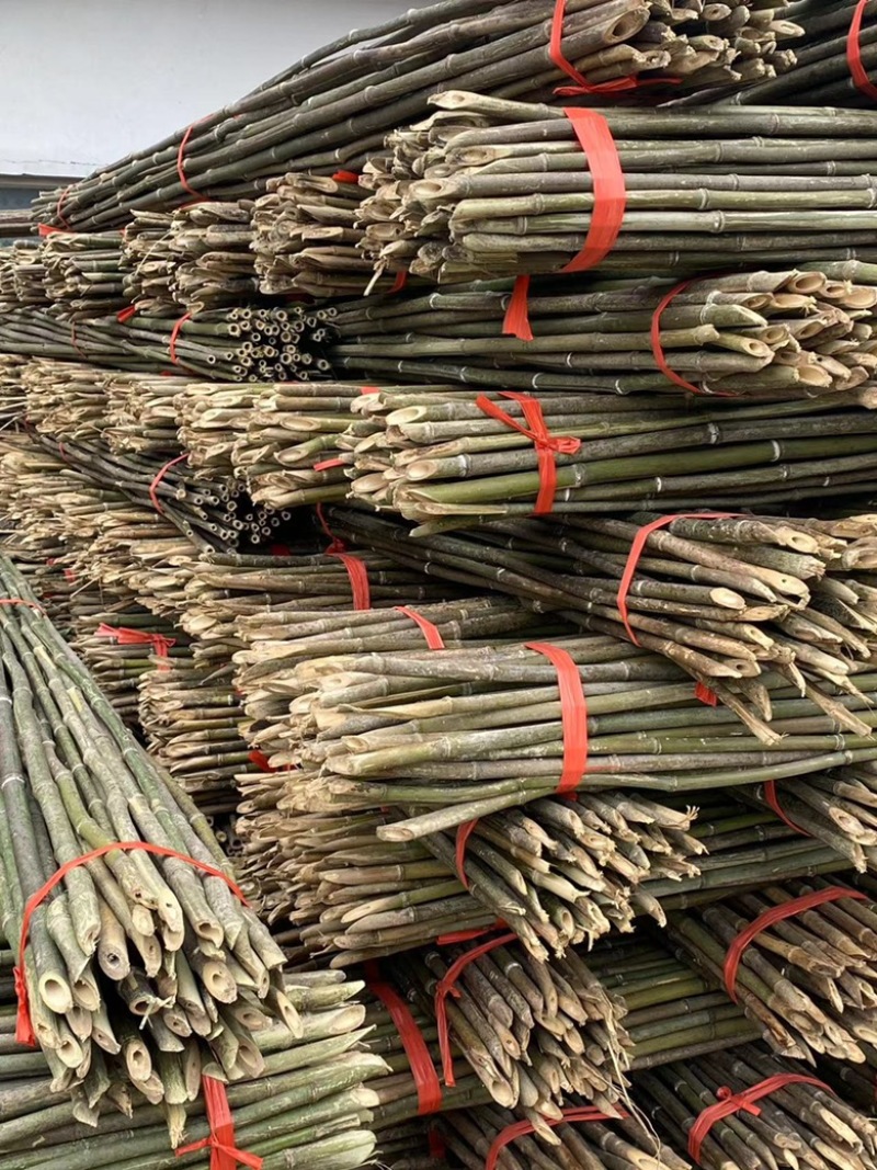 竹竿菜架竹豆角架黄瓜架西红柿架辣椒架