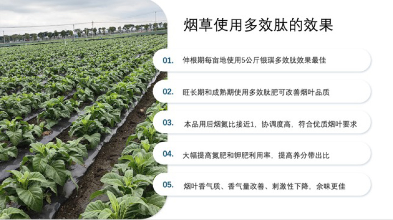 外籍院士团队研发聚谷氨酸中量元素有机肥料通货配比科学