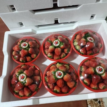 新鲜当季草莓，甜蜜多汁，**特惠！