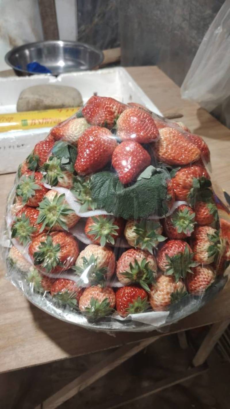 新鲜当季草莓，甜蜜多汁，**特惠！