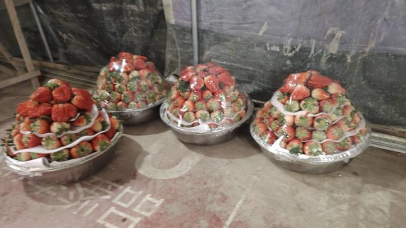 新鲜当季草莓，甜蜜多汁，**特惠！