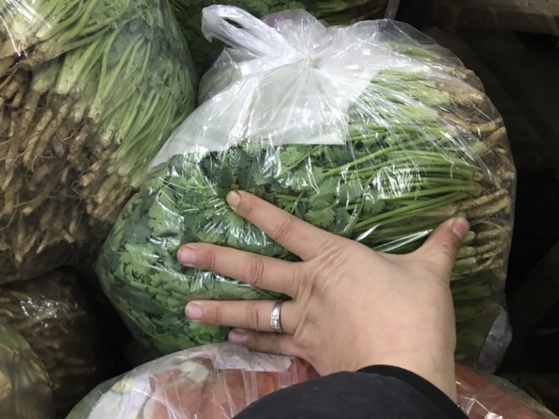铁杆香菜鲜货全国各地发货品质优良欢迎来电咨询