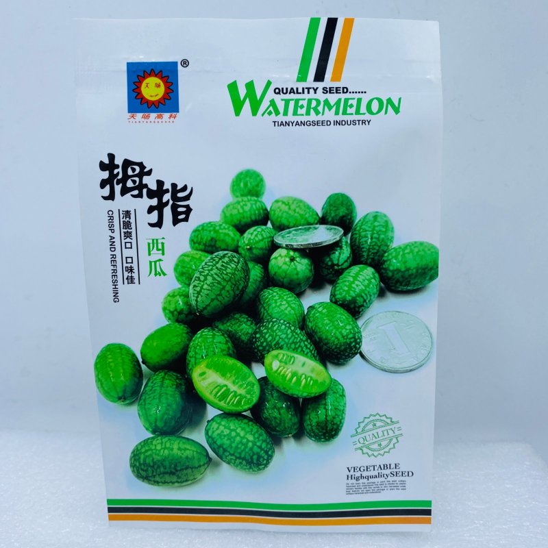 拇指西瓜种子迷你小西瓜水果种籽可生吃农家四季阳台盆栽蔬菜