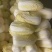 金乡娃娃菜，味道鲜美，是凉拌，烹饪的佳品，需要的老板联系
