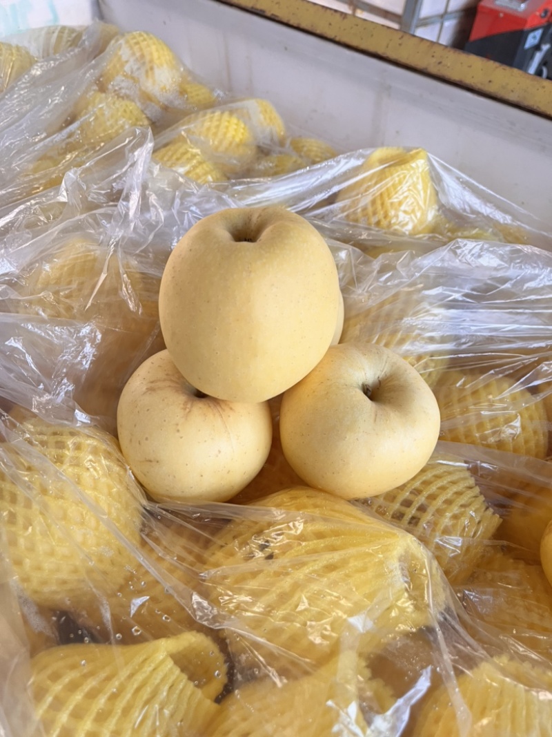 烟台维纳斯苹果