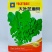 大叶芝麻菜种子四季播阳台盆栽有芝麻香味蔬菜可榨油野菜