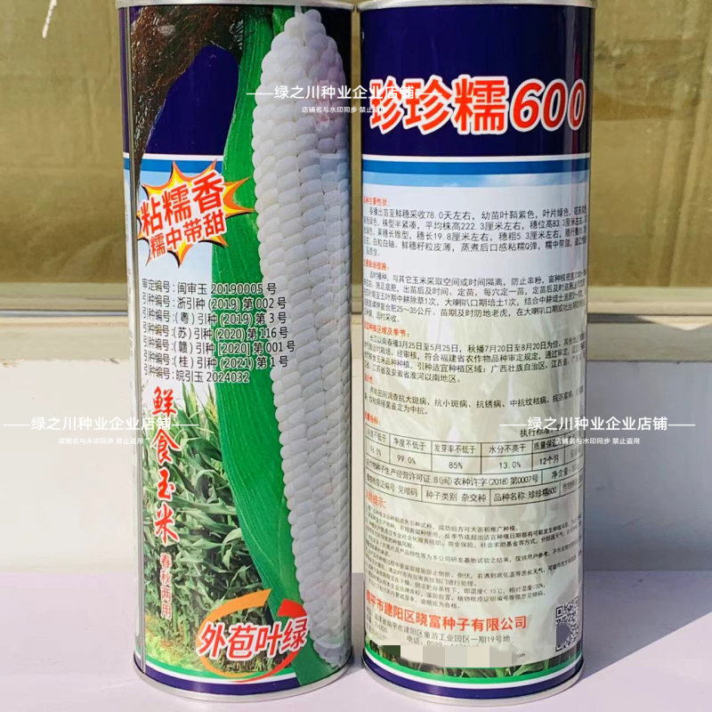 珍珍糯600白色糯玉米种子香甜糯大棒玉米皮薄审定玉米种籽