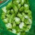 精品儿菜儿子一手货源可支持视频看货质量保证