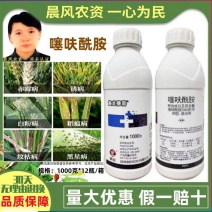 黄龙穗喜24%噻呋酰胺悬浮剂水稻小麦纹枯病白术白绢病杀菌