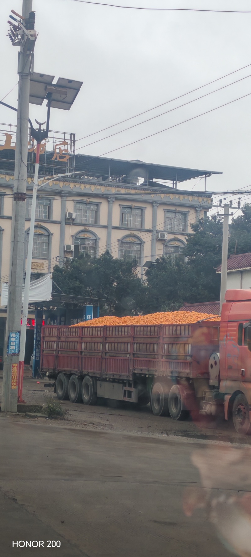 夏橙、沃柑大量上市有商品果、榨汁果应有尽有，大量供应
