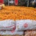 夏橙、沃柑大量上市有商品果、榨汁果应有尽有，大量供应
