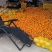 夏橙、沃柑大量上市有商品果、榨汁果应有尽有，大量供应