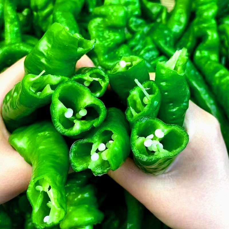 【精选】河北螺丝椒基地直发保质保量现摘现发对接商超团购