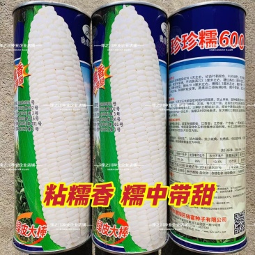 珍珍糯600白色糯玉米种子香甜糯大棒玉米皮薄审定玉米种籽