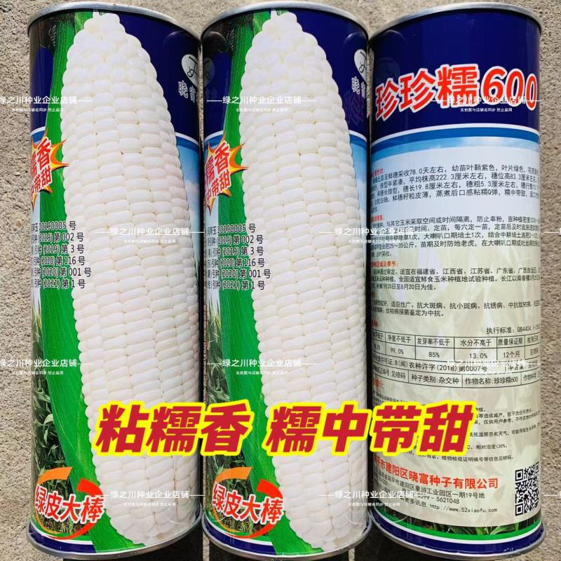 珍珍糯600白色糯玉米种子香甜糯大棒玉米皮薄审定玉米种籽
