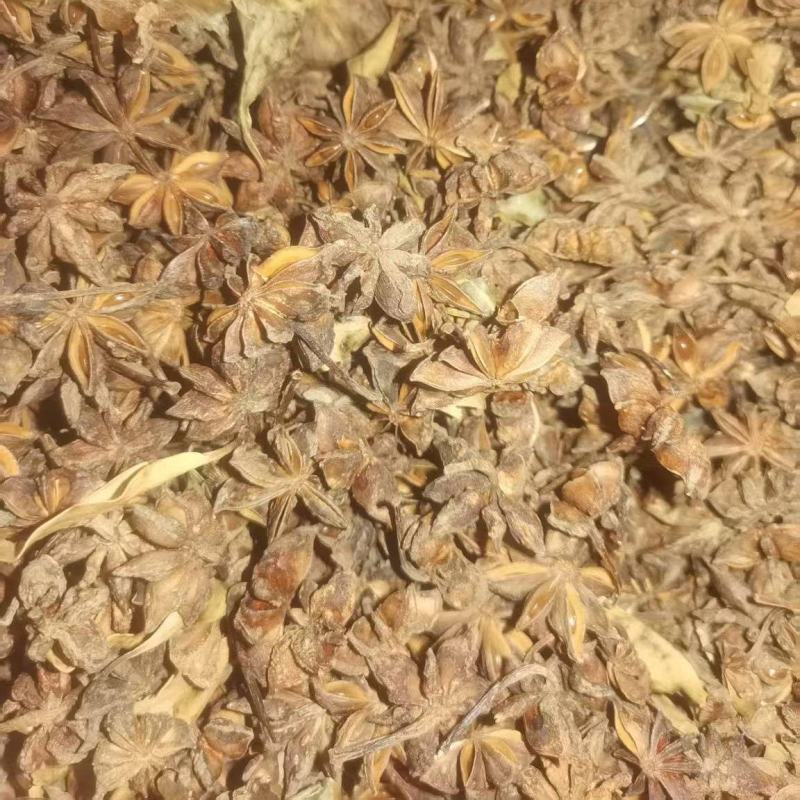 精品大红八角大量供应，全国发货，品质保证，可视频看货
