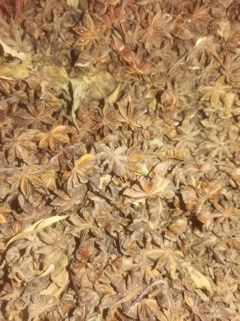 精品大红八角大量供应，全国发货，品质保证，可视频看货
