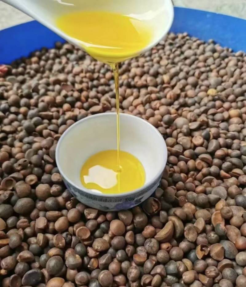 山茶油量大优惠，一次合作终身朋友，欢迎各地老板前来合作