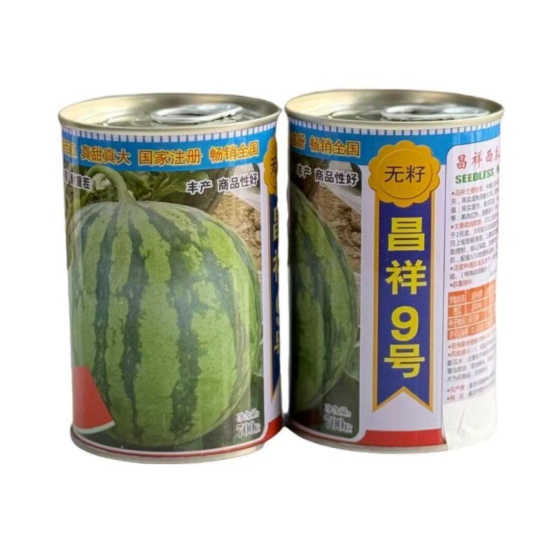昌祥9号无籽西瓜种子中熟三倍体杂交种大田种花皮果肉红色