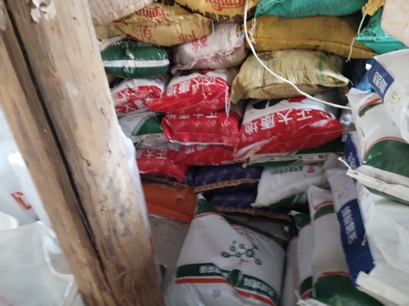 江西樟树自产决明子药不到樟树不灵。