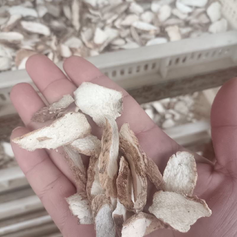 温县山药毛片