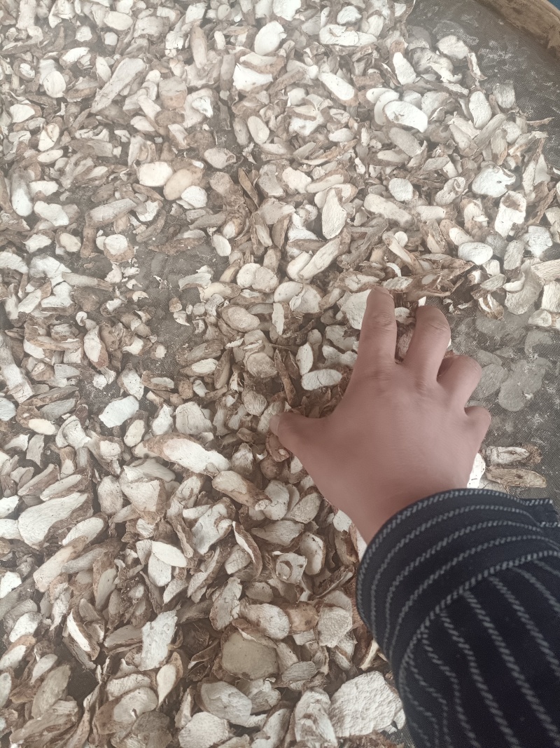 温县山药毛片