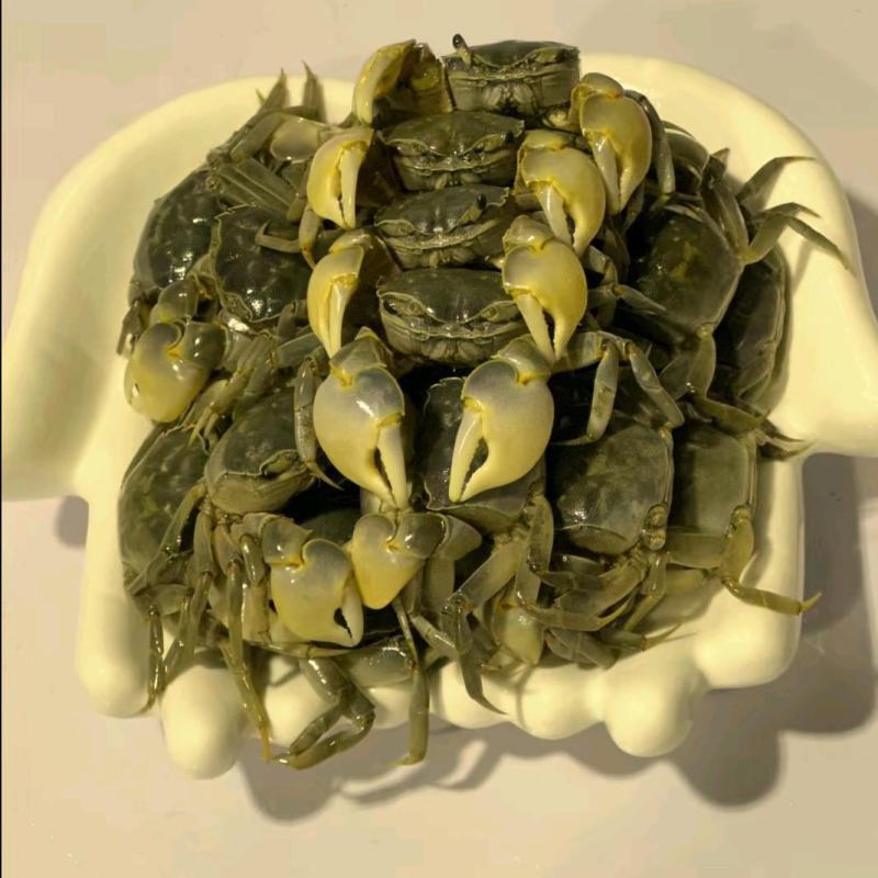 全国发货，大量批发（发财蟹）（白玉蟹）（嘟噜子）（螃蟹）