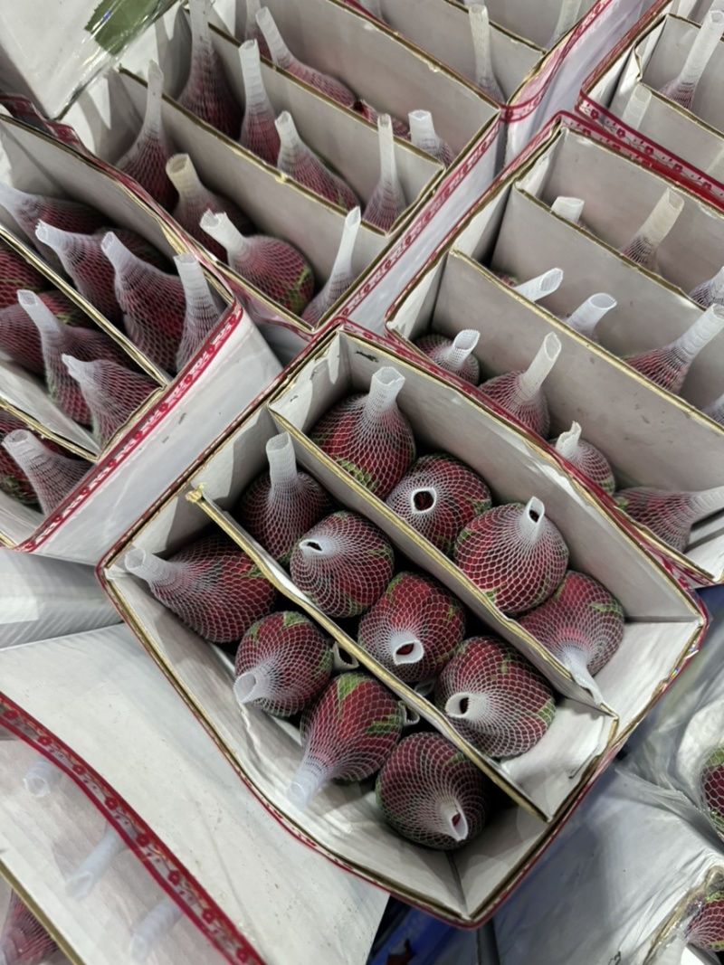 红色玫瑰花云南基地鲜花直批现采现发新鲜到家