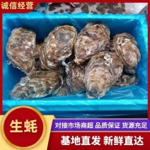 精品生蚝10斤装礼盒乳山生蚝鲜活到家包肥包活下单立即发货