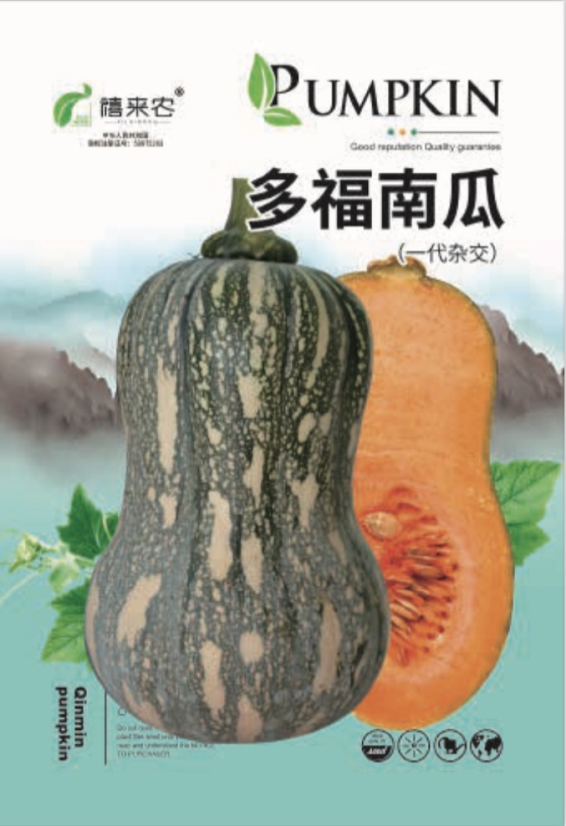 多福南瓜种子果肉细腻粉甜生育期约110天-120天