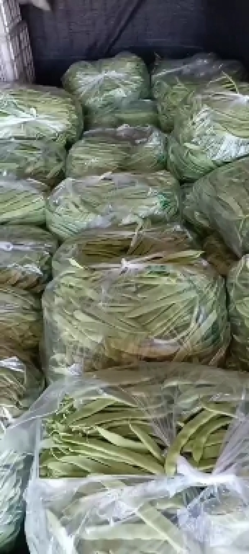 商河芸豆，大蒜，蒜薹
