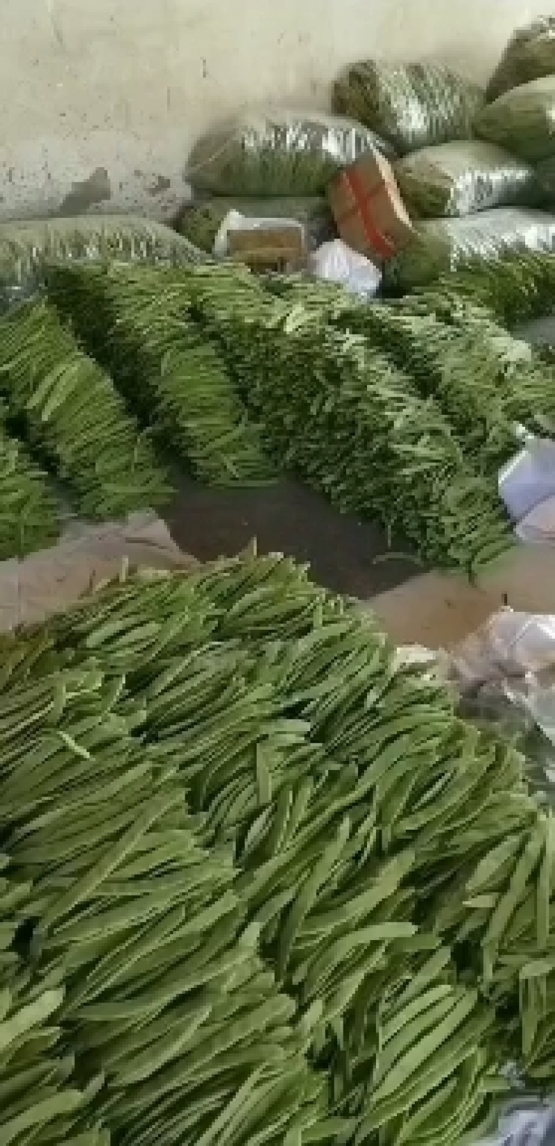 商河芸豆，大蒜，蒜薹