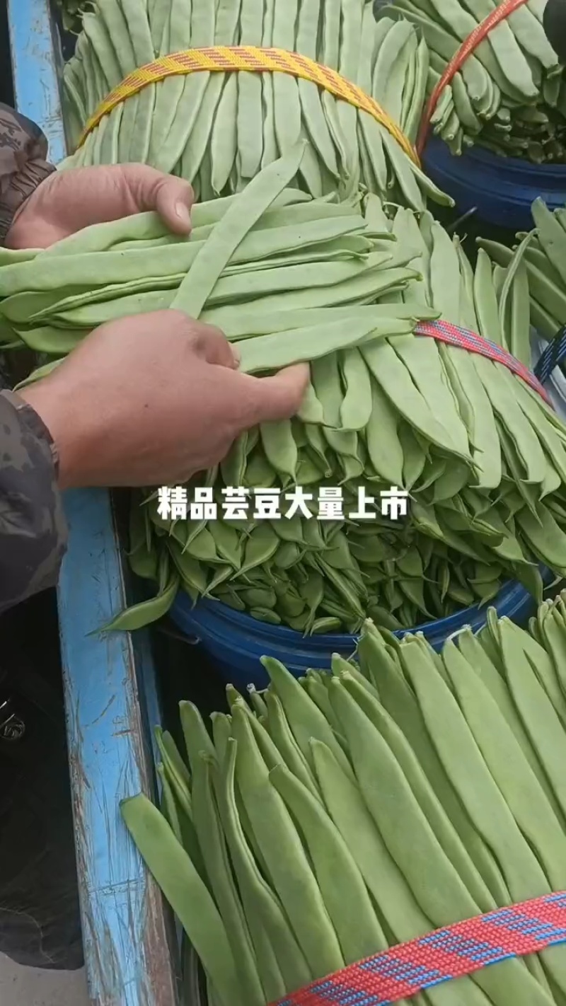 商河芸豆，大蒜，蒜薹