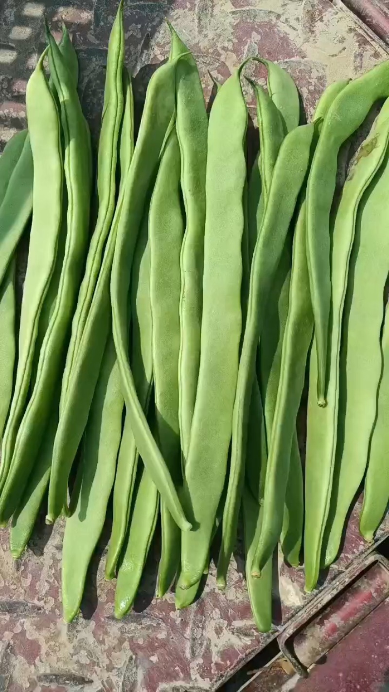 商河芸豆，大蒜，蒜薹