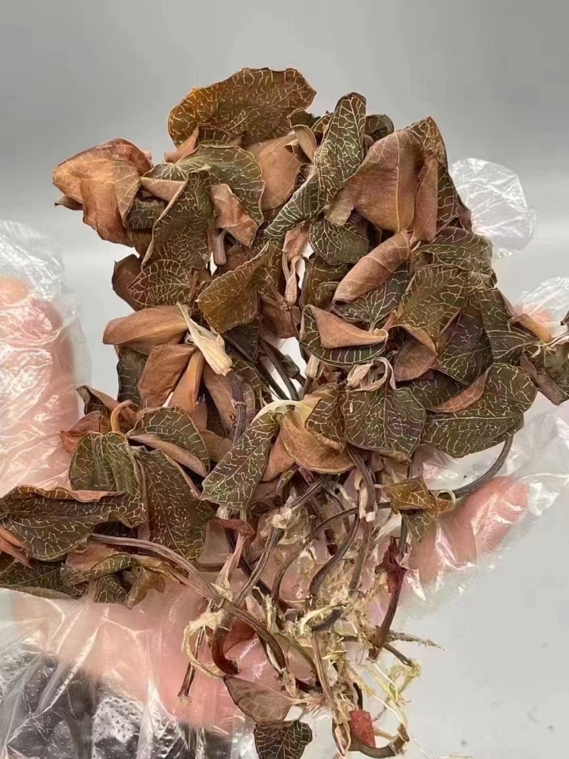 金线莲金线莲干货各种规格量大从优1斤起包邮