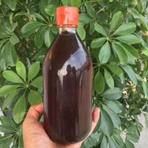 小磨香油纯香油厂家直供质量保证代发全国