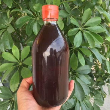 小磨香油纯香油厂家直供质量保证代发全国