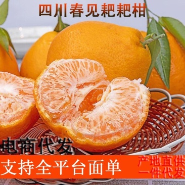 一件代发四川春见粑粑柑耙耙柑新鲜水果丑橘子整箱香甜可口多
