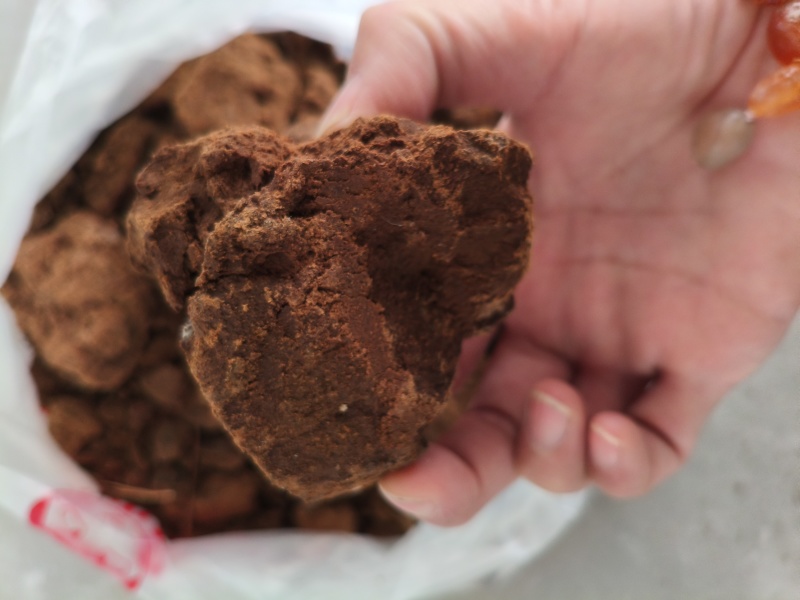 香油渣适用于各种蔬菜和农作物有效提升作物的生长环境和产量
