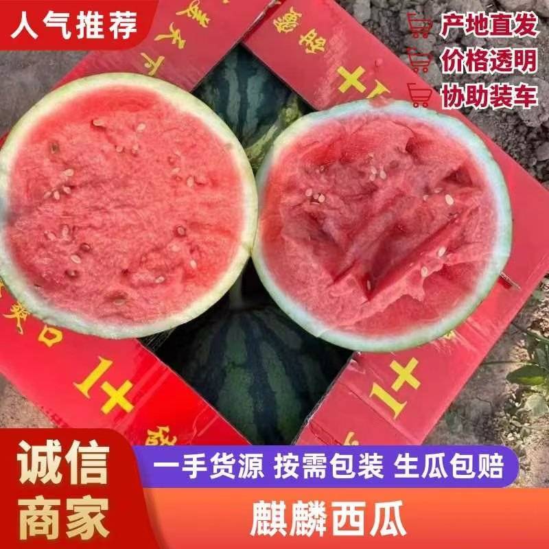 【麒麟西瓜】长治本地西瓜成熟了八九成刚刚好硬度好耐运输接