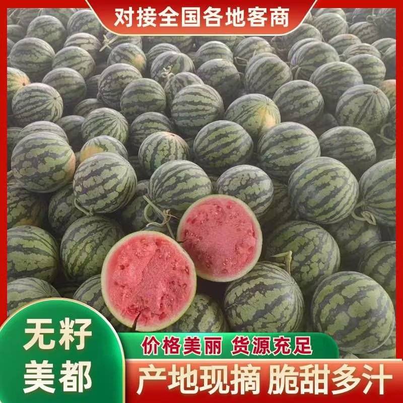 河南商丘麒麟西瓜耐运输专业小工不间断发货全国接单承接商超
