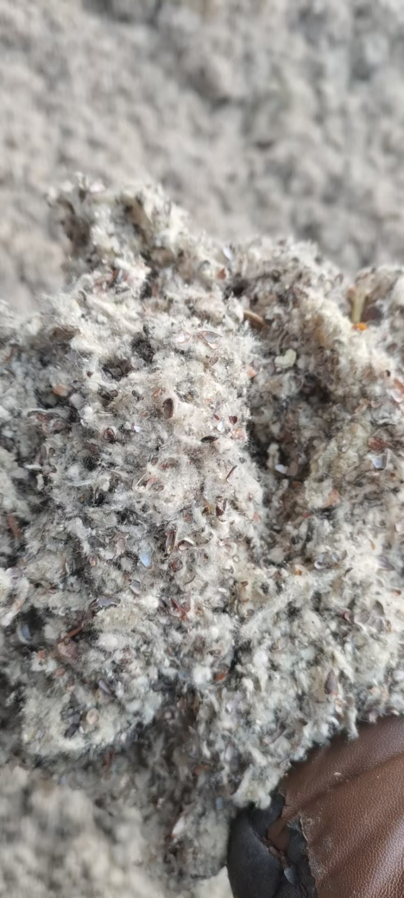 新疆，河北，山东优质磨盘长绒棉籽壳厂，棉渣，玉米芯，
