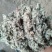 新疆，河北，山东优质磨盘长绒棉籽壳厂，棉渣，玉米芯，