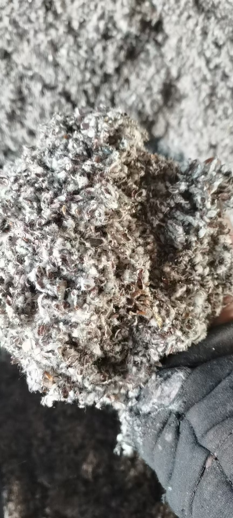 新疆，河北，山东优质磨盘长绒棉籽壳厂，棉渣，玉米芯，
